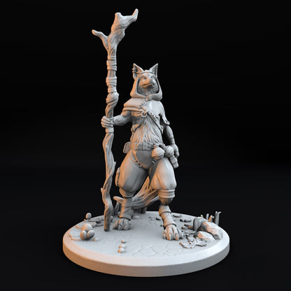 Vulpine Druid