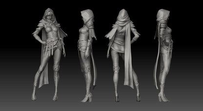 Female Assassin Rogue