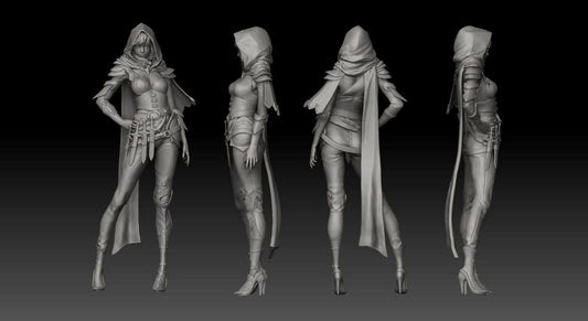 Female Assassin Rogue