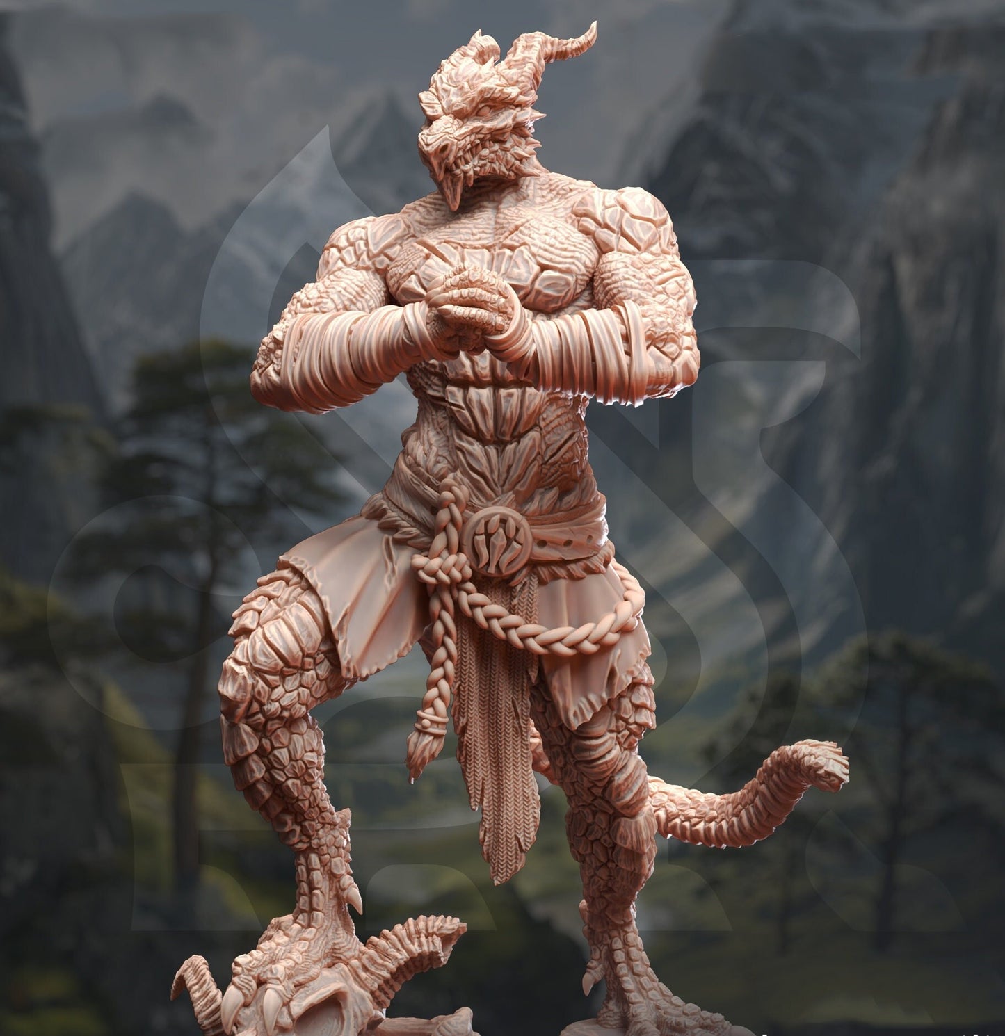 Male Dragonborn Monk Fighter Brawler