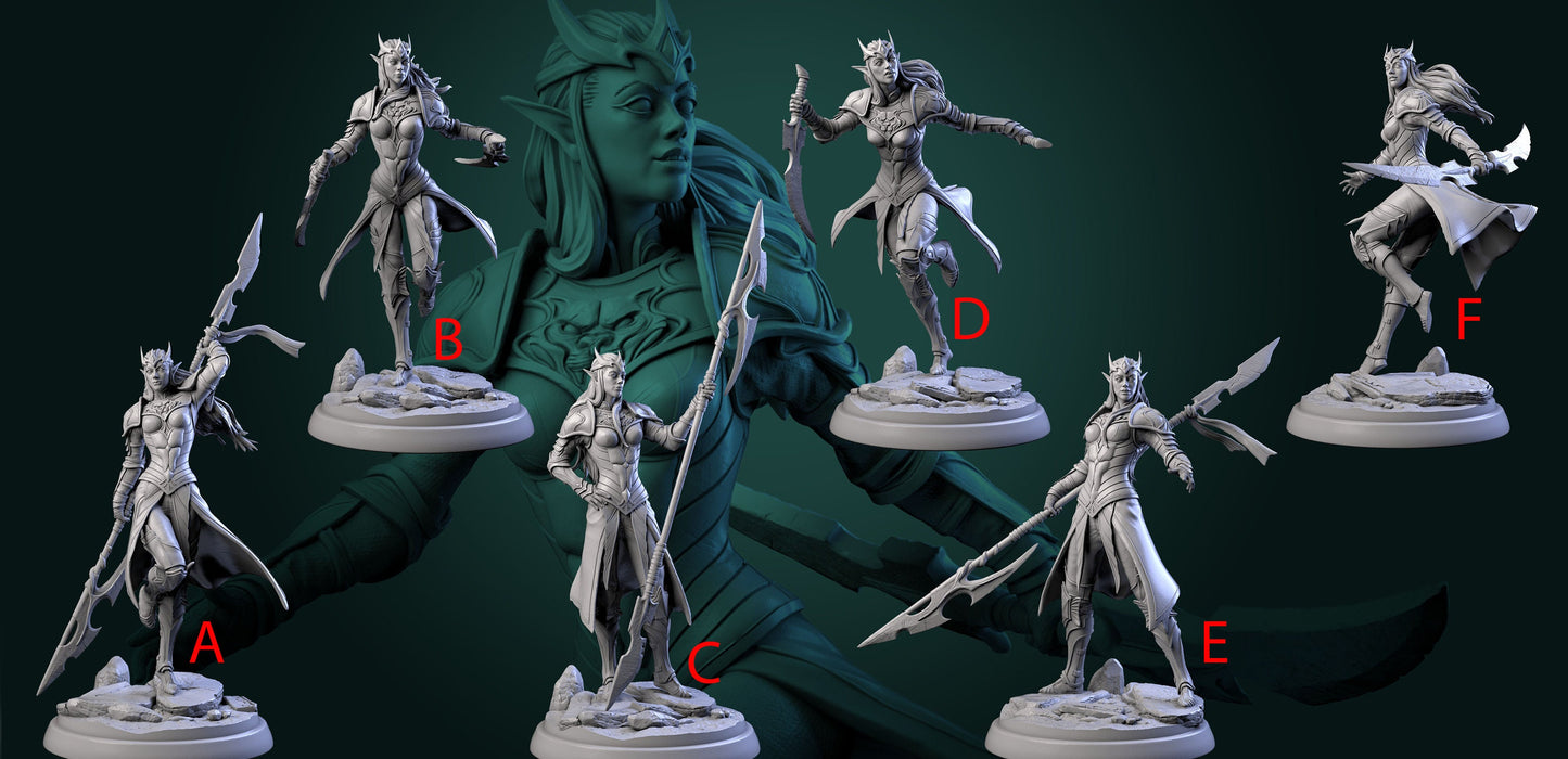 Female Elven Warrior || Elf Fighter || Double Bladed Rogue || Dnd Mini