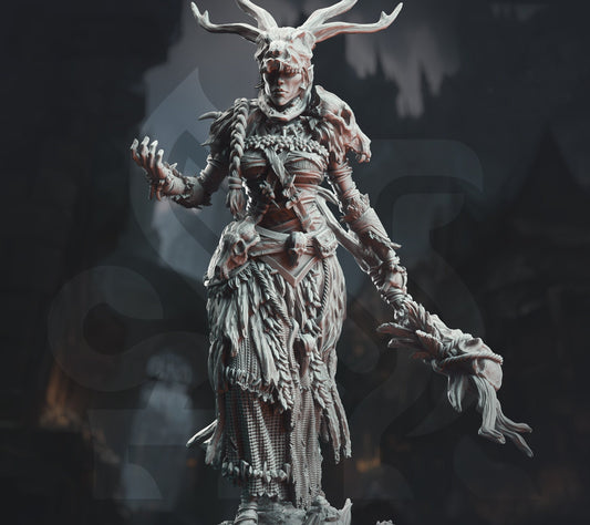 Shaman Necromancer || Dark Druid Cultist || Corrupted Nature Tribalist || Dnd Mini